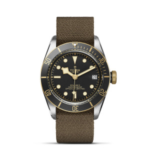 TUDOR Black Bay S&G thumb 1