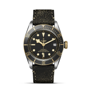 TUDOR Black Bay S&G thumb 1