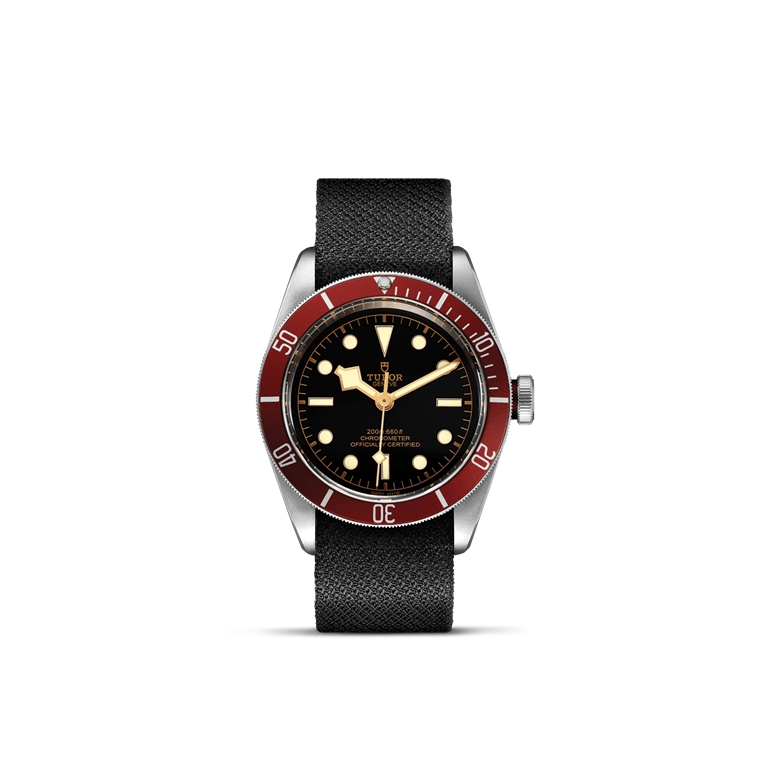 TUDOR Black Bay