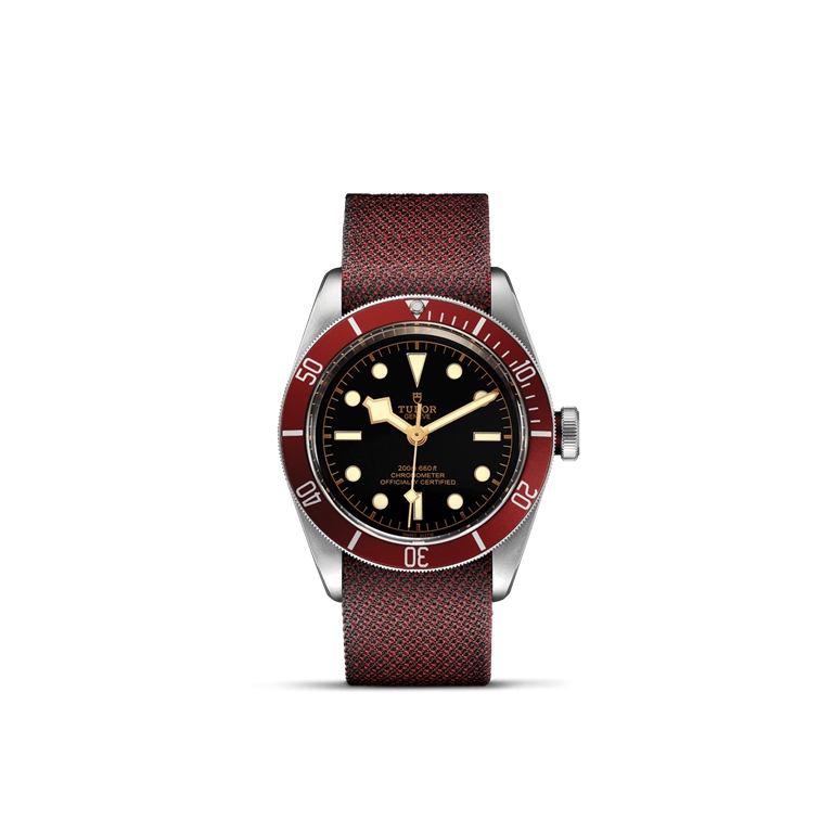 TUDOR Black Bay