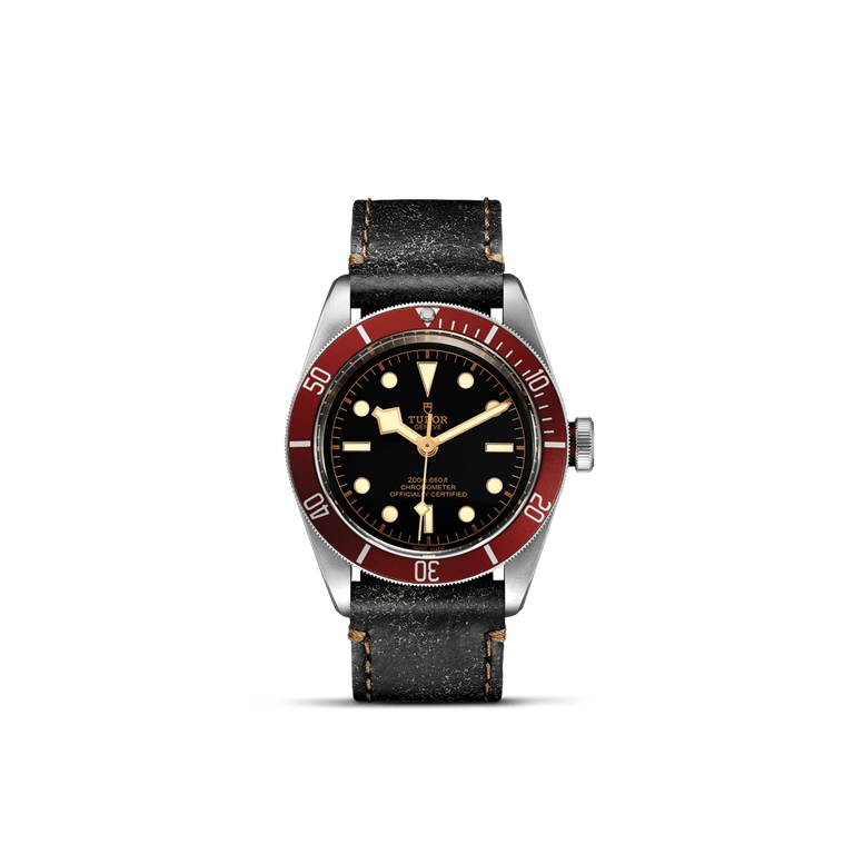 TUDOR Black Bay