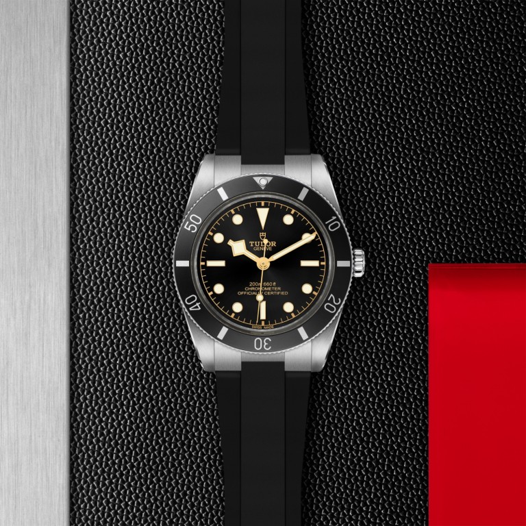 Black Bay 54 slide 1