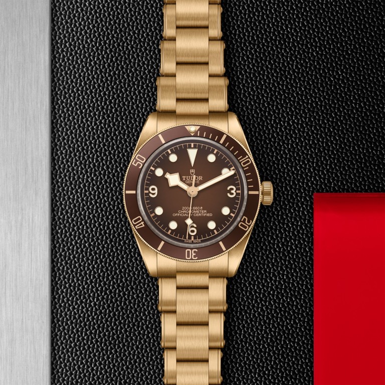 Black Bay 58 Bronze slide 1