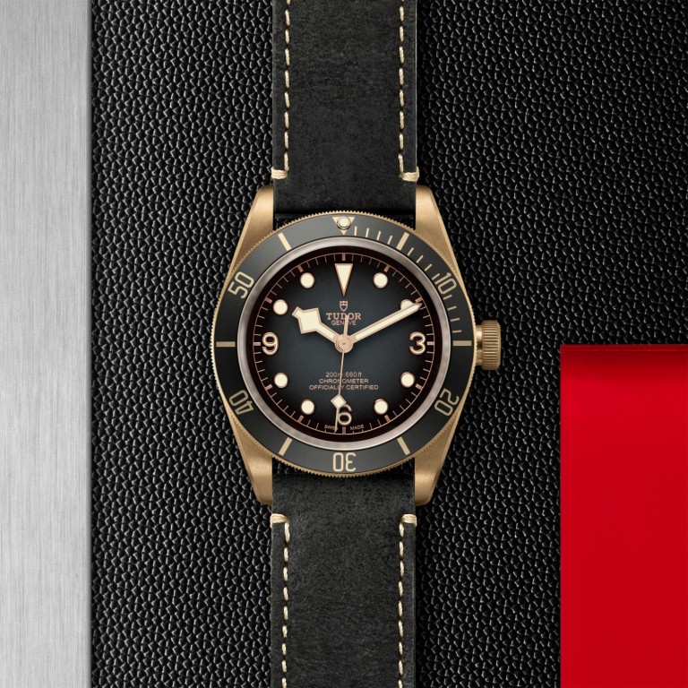 Black Bay Bronze slide 1
