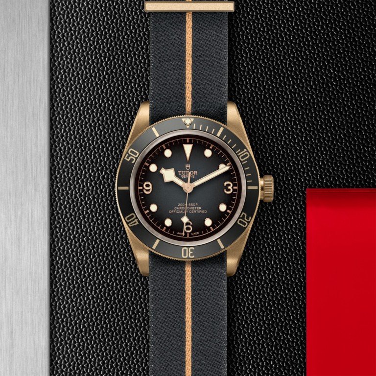 Black Bay Bronze slide 1