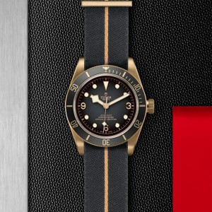 Black Bay Bronze thumb 1
