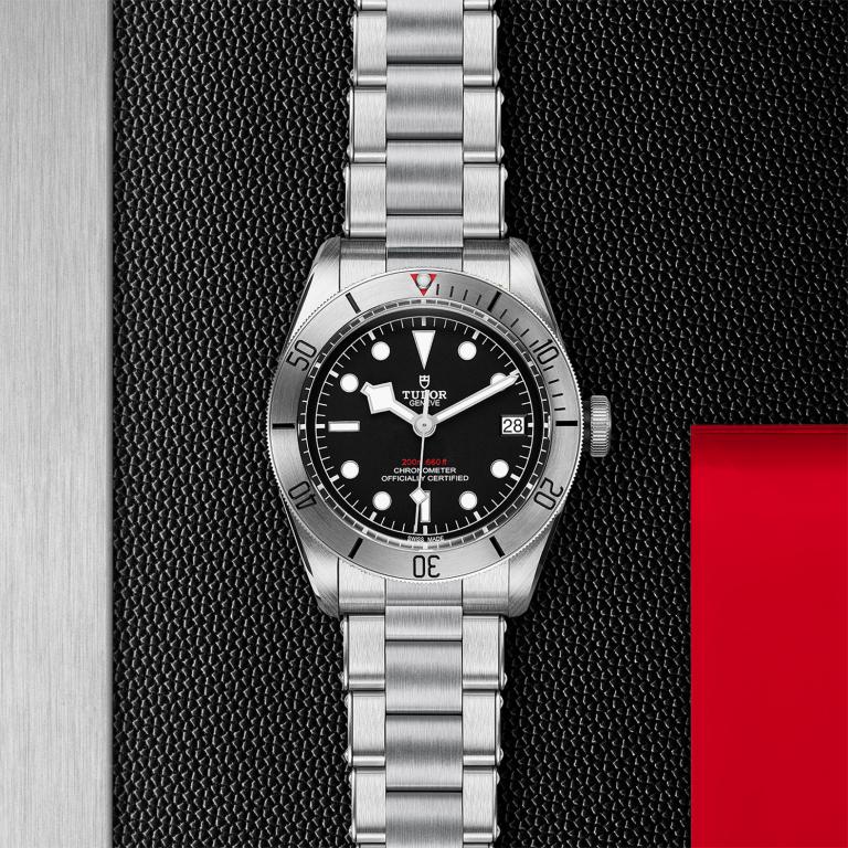 TUDOR Black Bay Steel slide 1