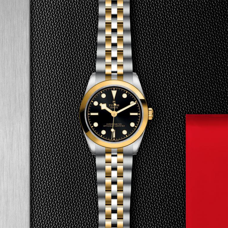 TUDOR Black Bay 31 S&G slide 1