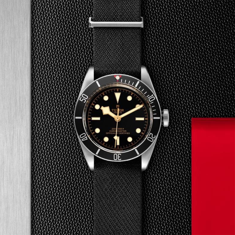 TUDOR Black Bay slide 1