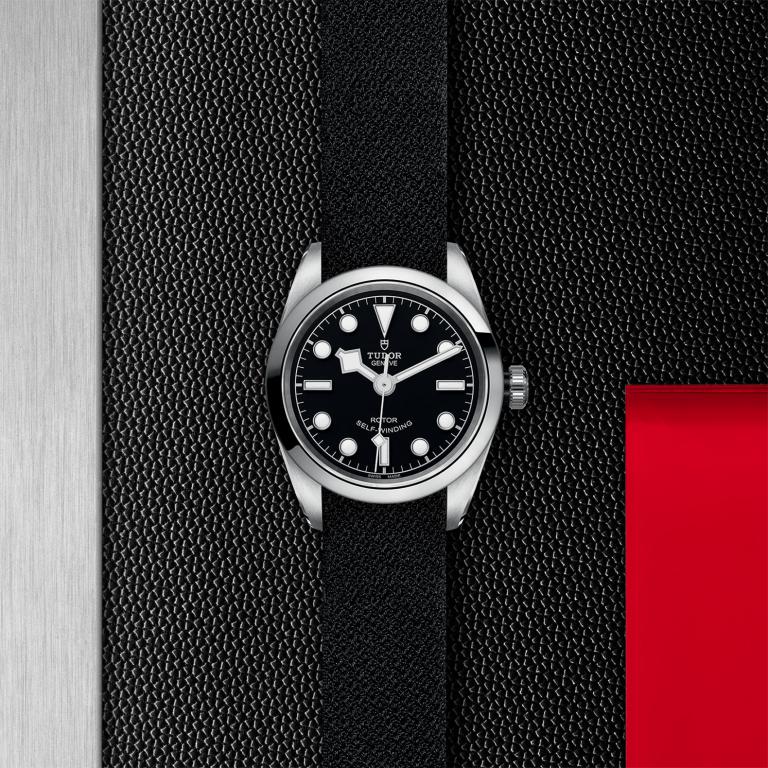 TUDOR Black Bay 32 slide 1