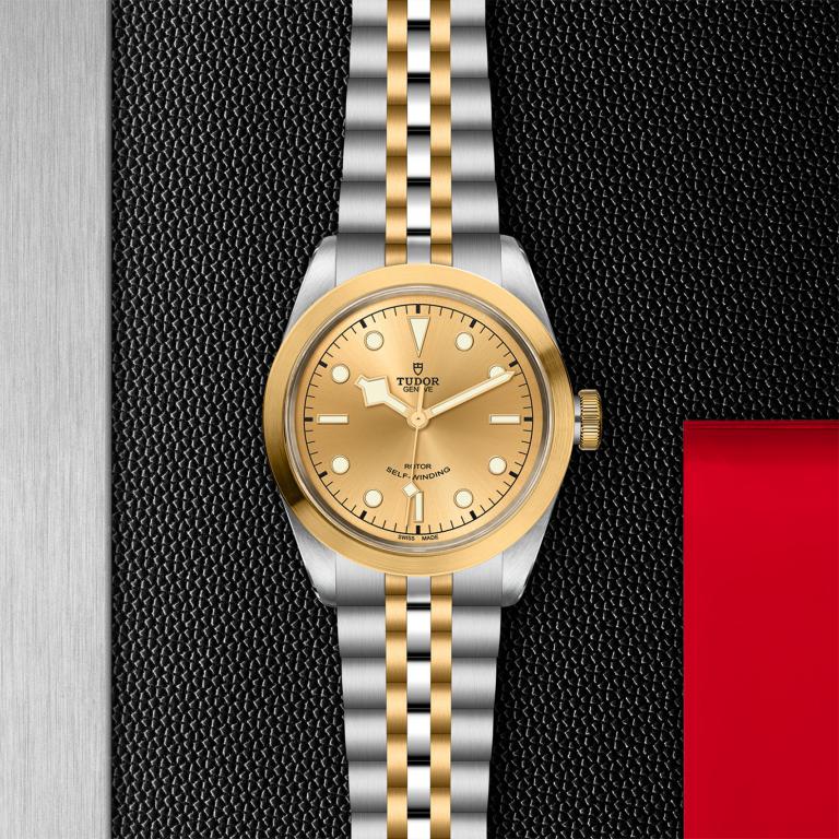 TUDOR Black Bay 41 S&G slide 1