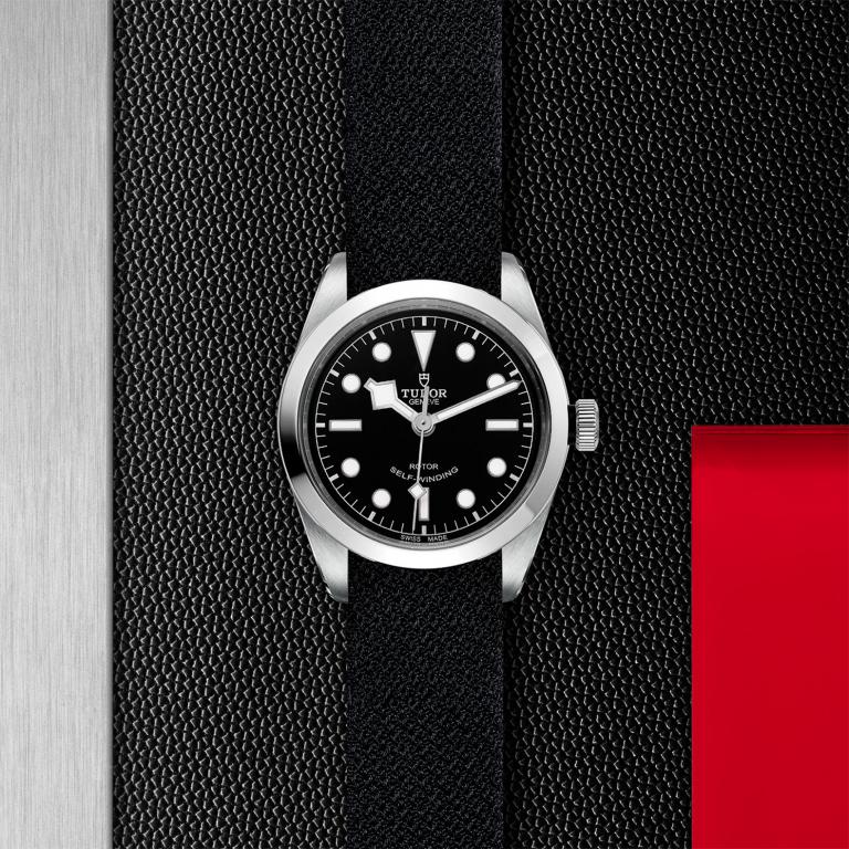 TUDOR Black Bay 36 slide 1