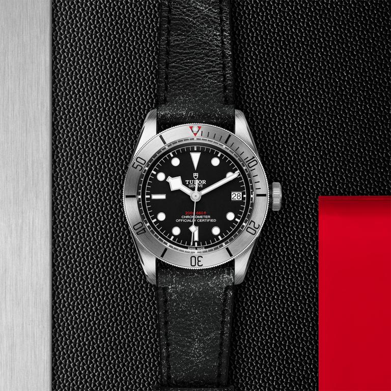 TUDOR Black Bay Steel slide 1