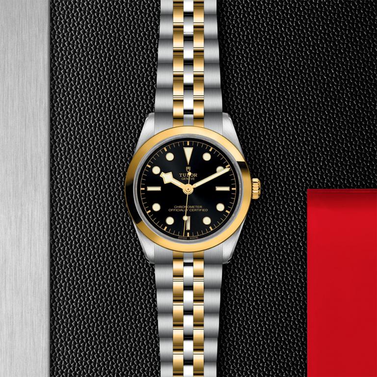 TUDOR Black Bay 36 S&G slide 1