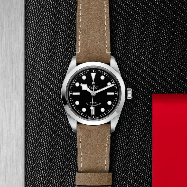 TUDOR Black Bay 36 slide 1
