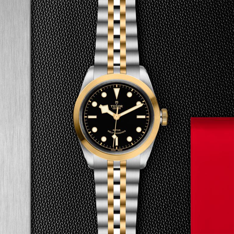 TUDOR Black Bay 41 S&G slide 1