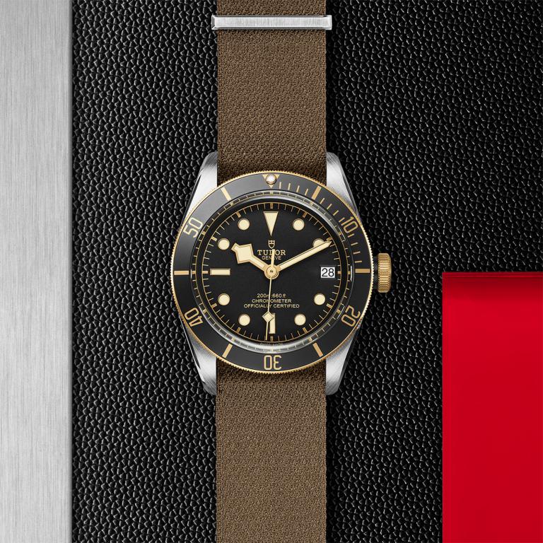TUDOR Black Bay S&G slide 1