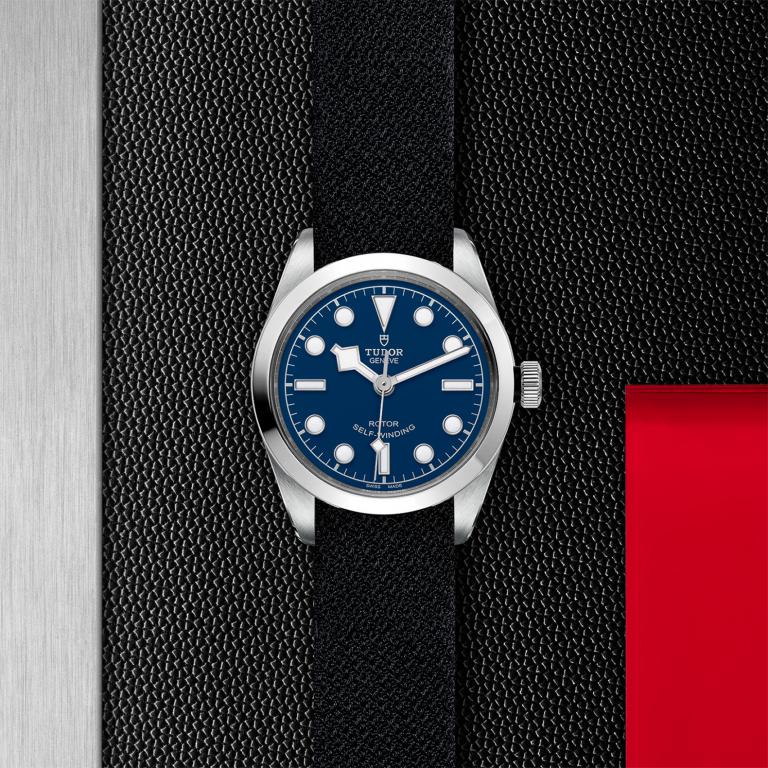 TUDOR Black Bay 36 slide 1