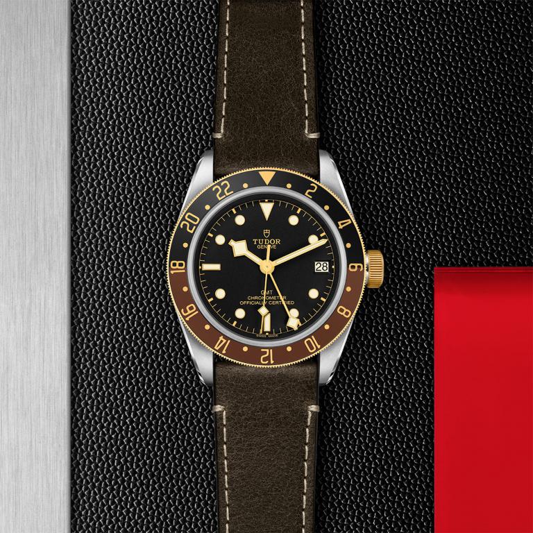 TUDOR Black Bay GMT S&G slide 1