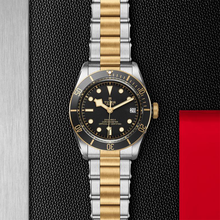 TUDOR Black Bay S&G slide 1