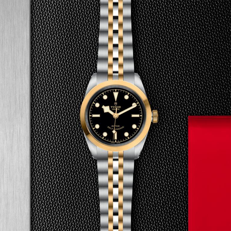 TUDOR Black Bay 32 S&G slide 1