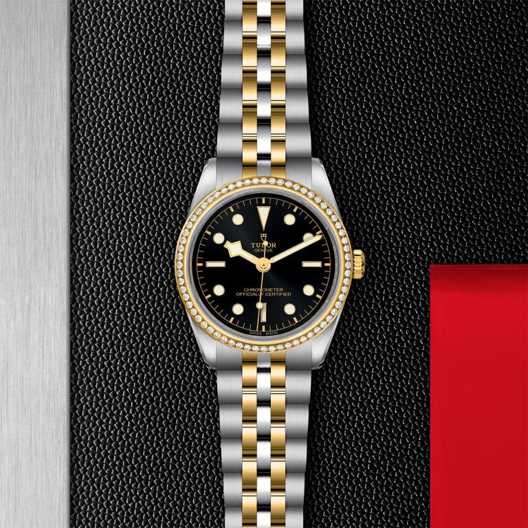 TUDOR Black Bay 36 S&G slide 1