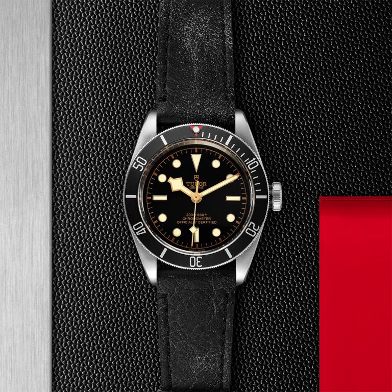 TUDOR Black Bay slide 1