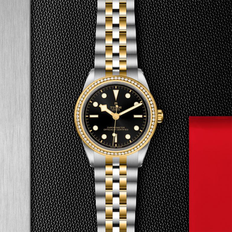 TUDOR Black Bay 39 S&G slide 1