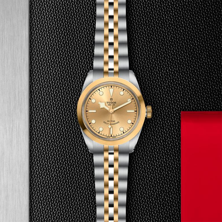 TUDOR Black Bay 32 S&G slide 1