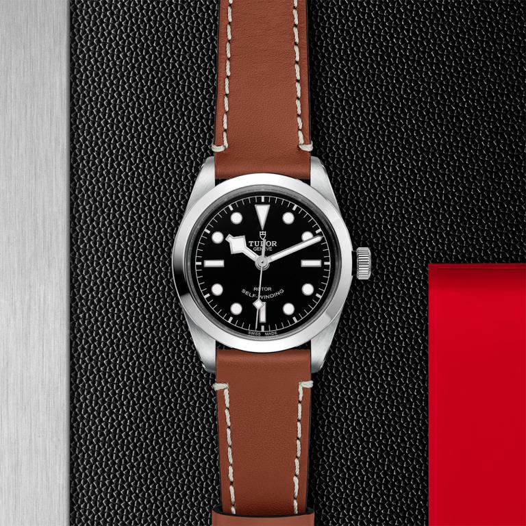 TUDOR Black Bay 36 slide 1