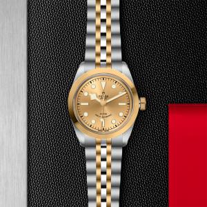 TUDOR Black Bay 36 S&G thumb 1