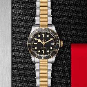 TUDOR Black Bay S&G thumb 1