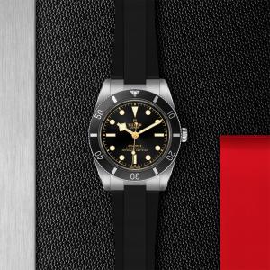 TUDOR Black Bay 54 thumb 1