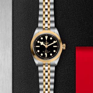 TUDOR Black Bay 36 S&G thumb 1