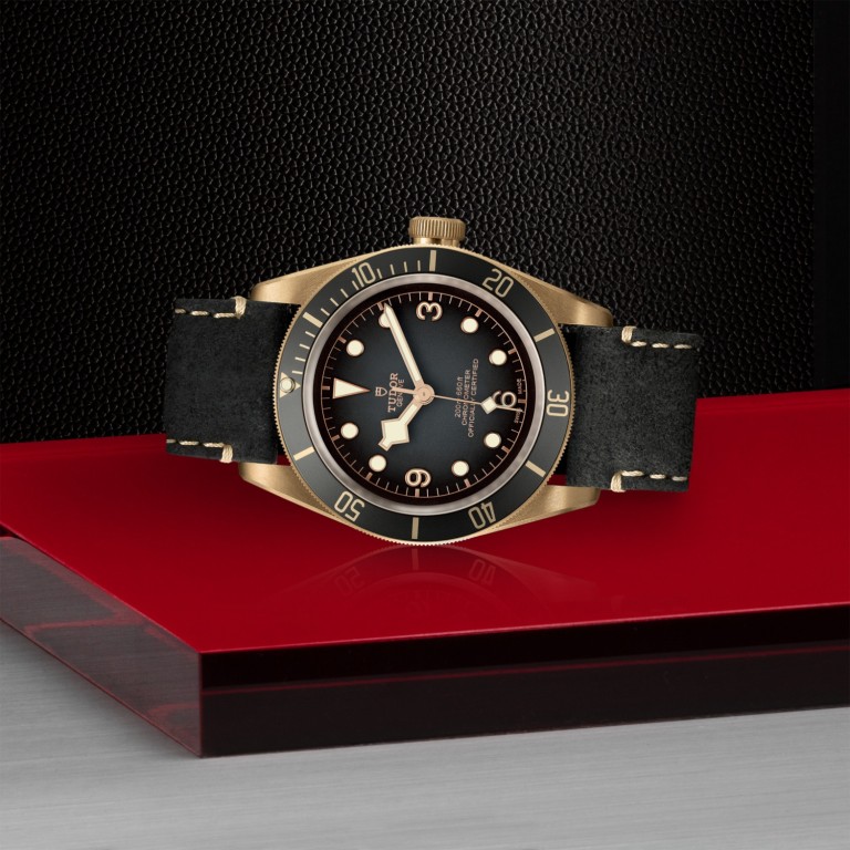 Black Bay Bronze slide 1