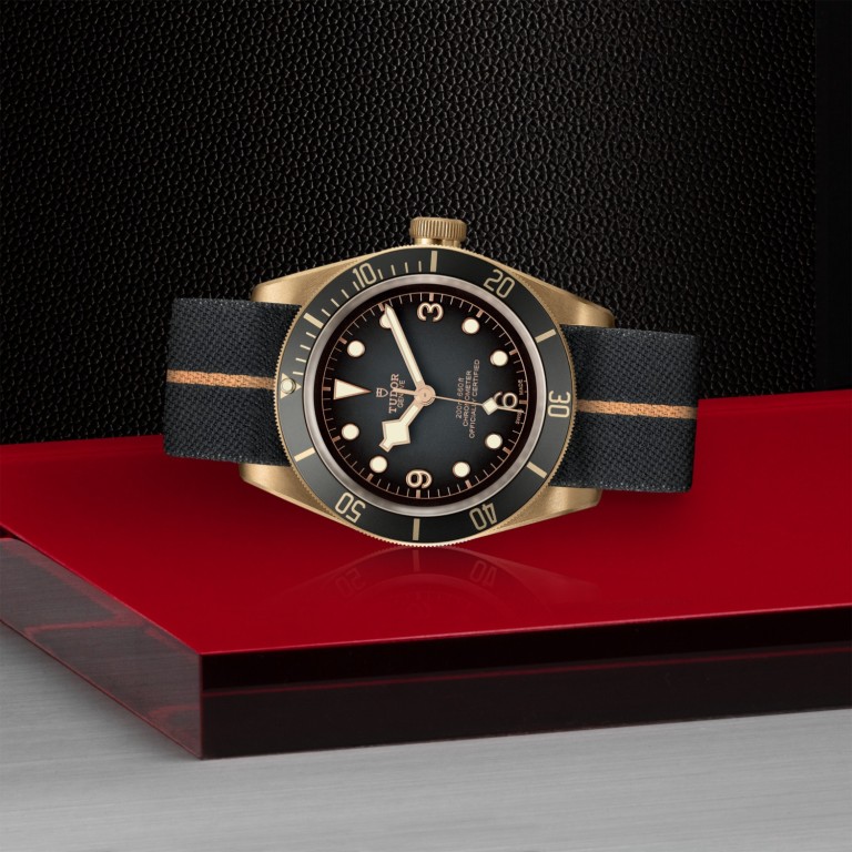 Black Bay Bronze slide 1