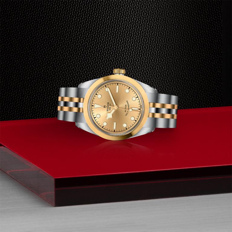 TUDOR Black Bay 32 S&G slide 1