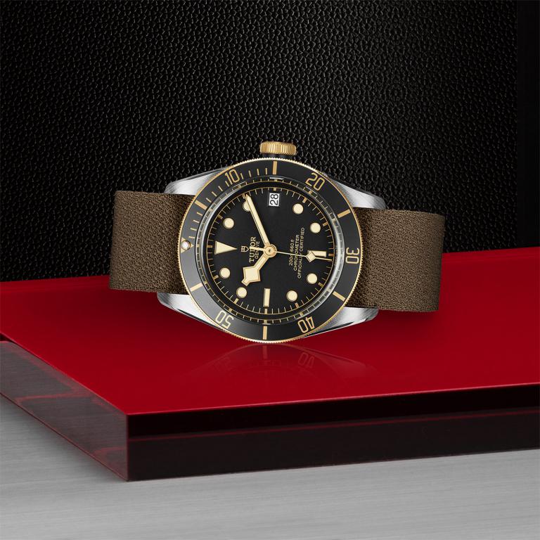 TUDOR Black Bay S&G slide 1