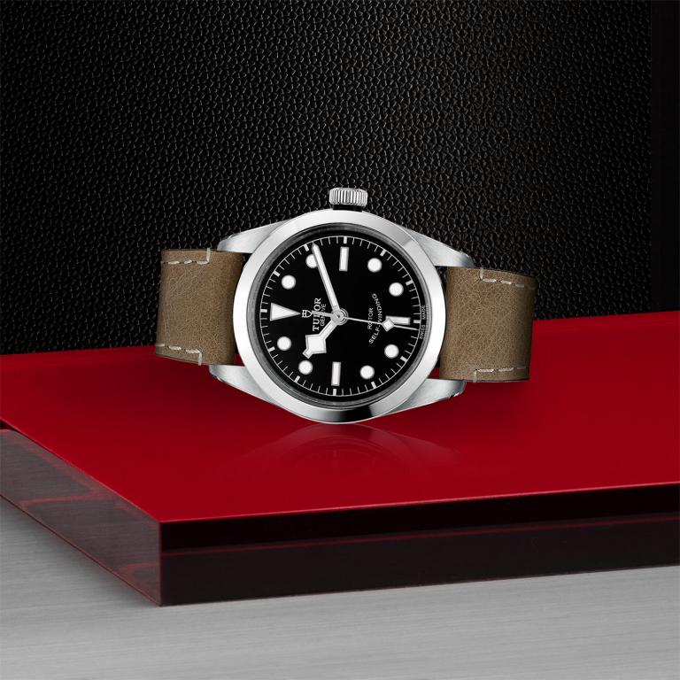 TUDOR Black Bay 36 slide 1