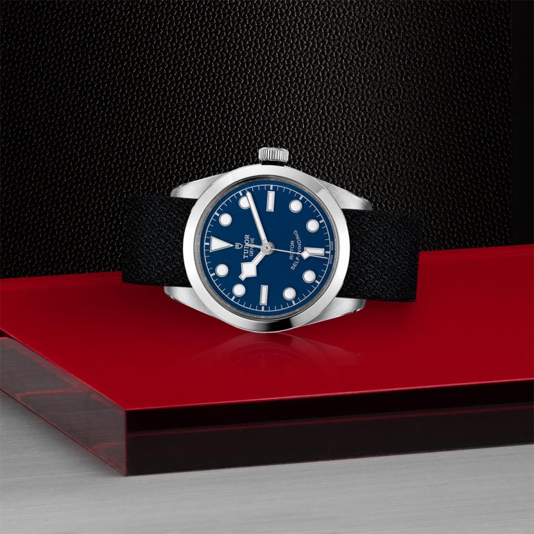 TUDOR Black Bay 36 slide 1
