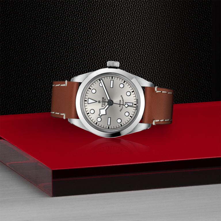 TUDOR Black Bay 36 slide 1