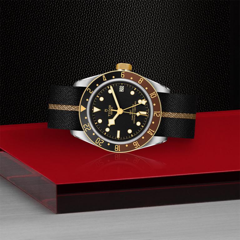 TUDOR Black Bay GMT S&G slide 1