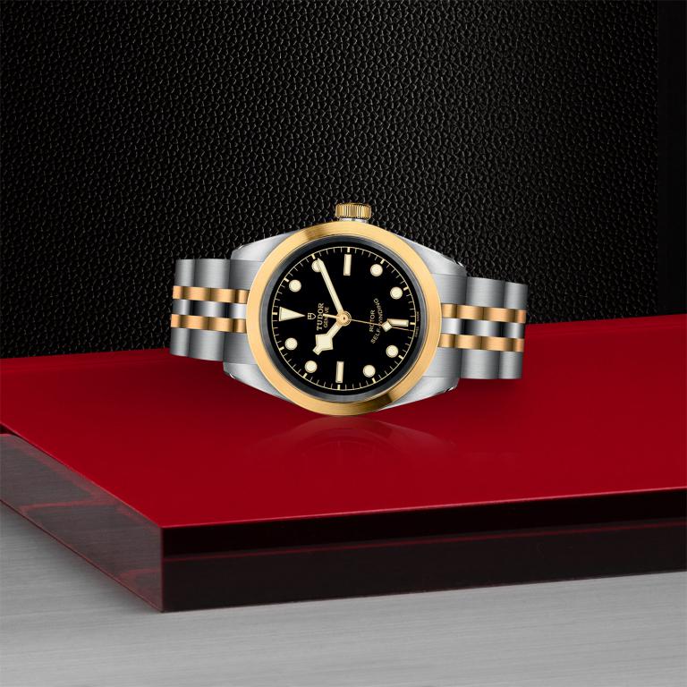 TUDOR Black Bay 32 S&G slide 1
