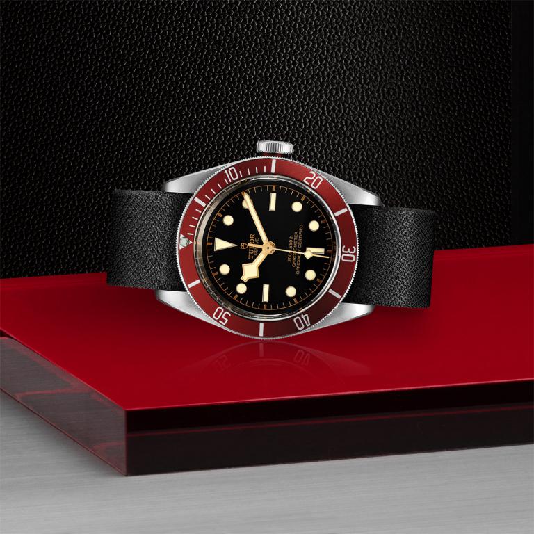 TUDOR Black Bay slide 1