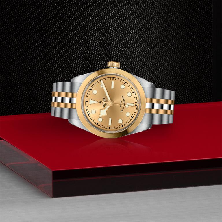 TUDOR Black Bay 36 S&G slide 1