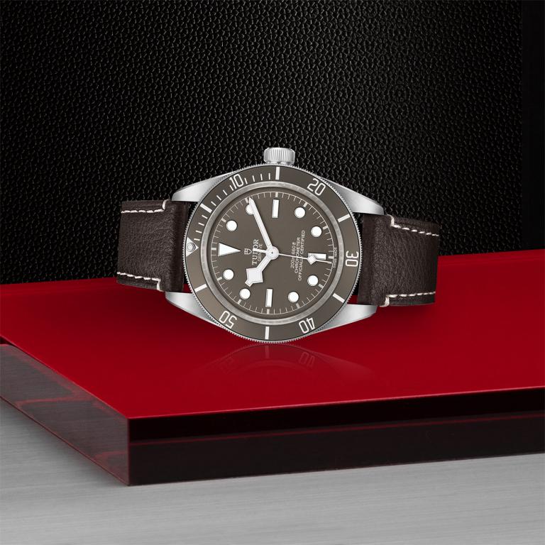 TUDOR Black Bay Fifty-Eight 925 slide 1