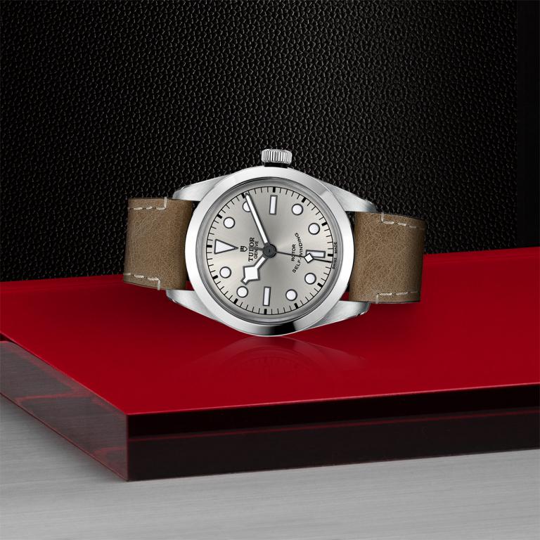 TUDOR Black Bay 36 slide 1