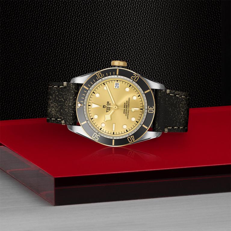 TUDOR Black Bay S&G slide 1