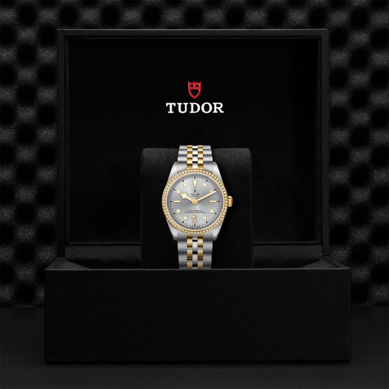 TUDOR Black Bay 36 S&G slide 1