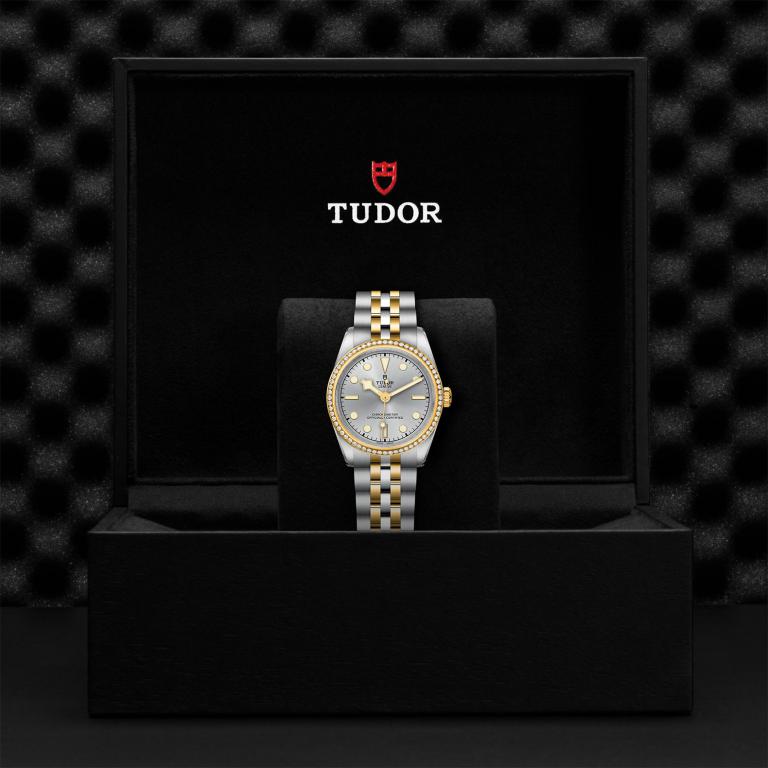 TUDOR Black Bay 31 S&G slide 1